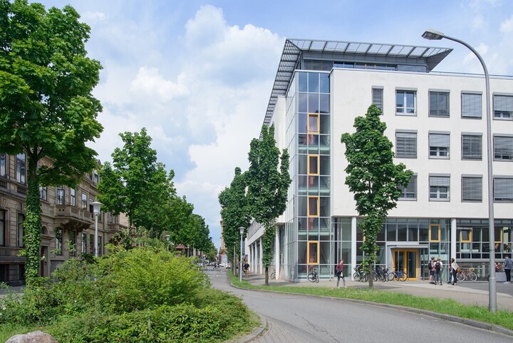Blick auf die Rückseite des Gebäudes der Abteilung Volkswirtschaftslehre. Im Vordergrund befinden sich eine Straße und einige Bäume