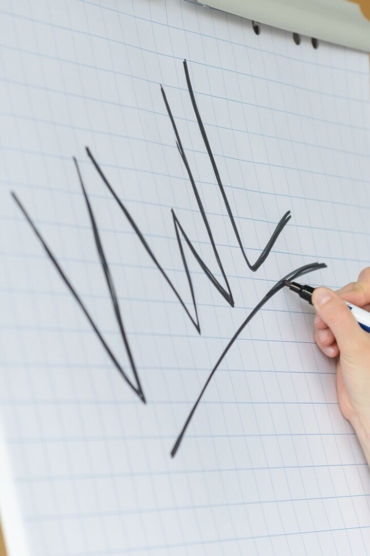 Auf einem Flipchart mit kariertem Papier steht in schwarzer Schrift „VWL“. Die Buchstaben werden mit schwarzem Filzstift unterstrichen.