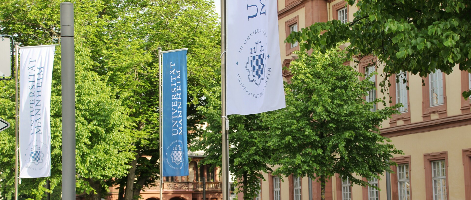 Fahnen der Universität Mannheim mit Schlossfassade im Hintergrund